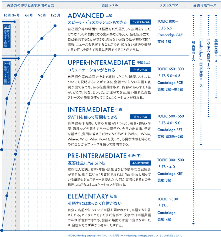英語力の伸びグラフ